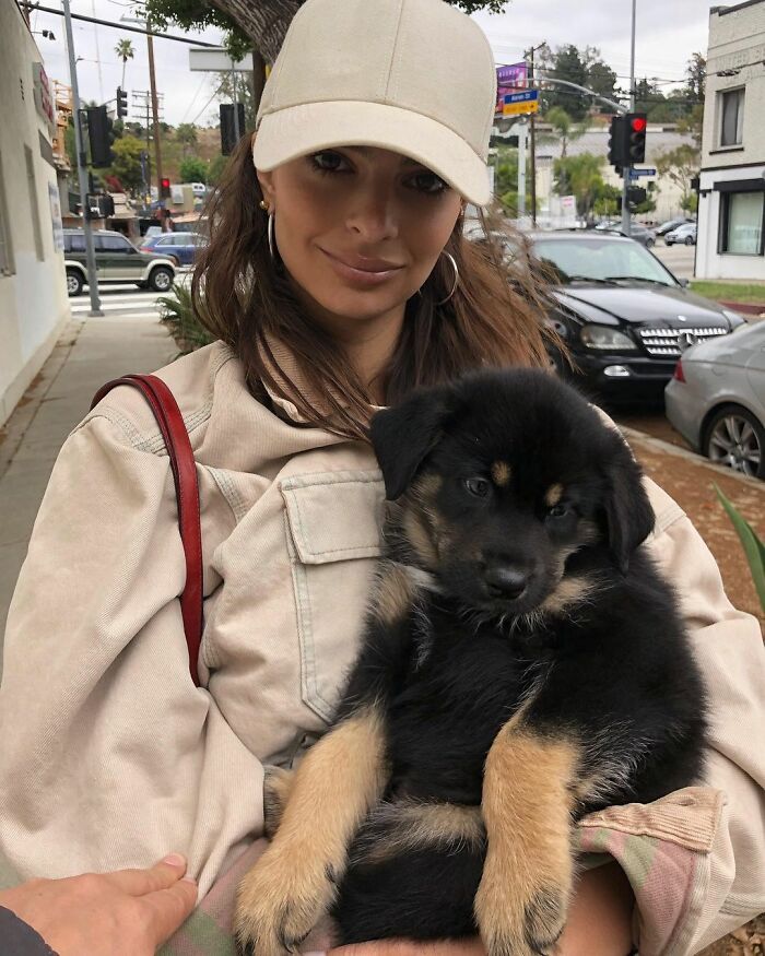 36 celebridades que são amantes de cachorros 21