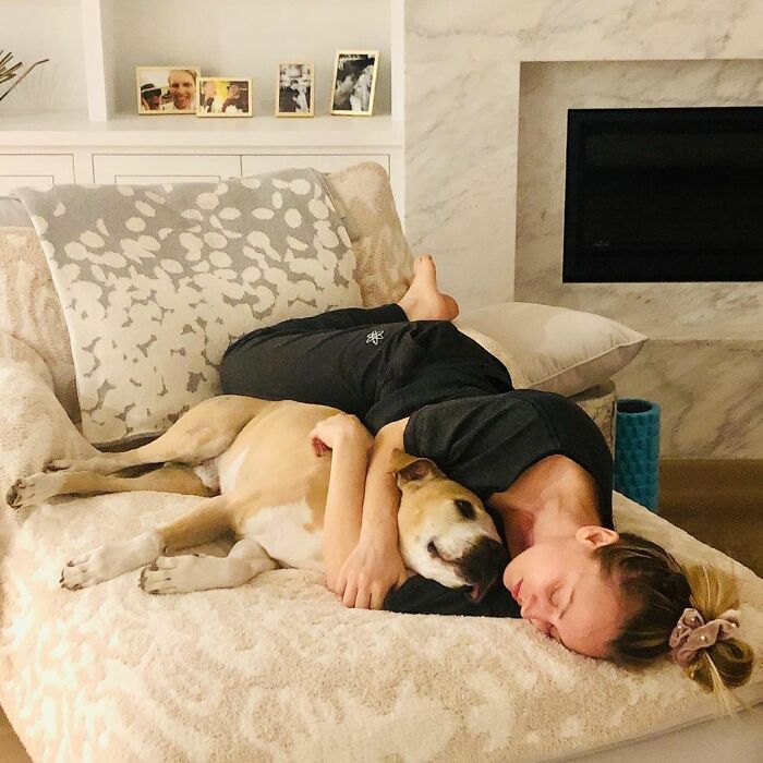 36 celebridades que são amantes de cachorros 23