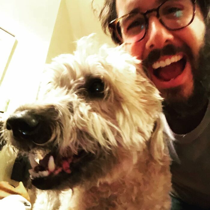 36 celebridades que são amantes de cachorros 29