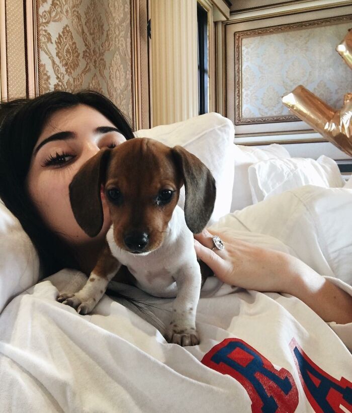 36 celebridades que são amantes de cachorros 32