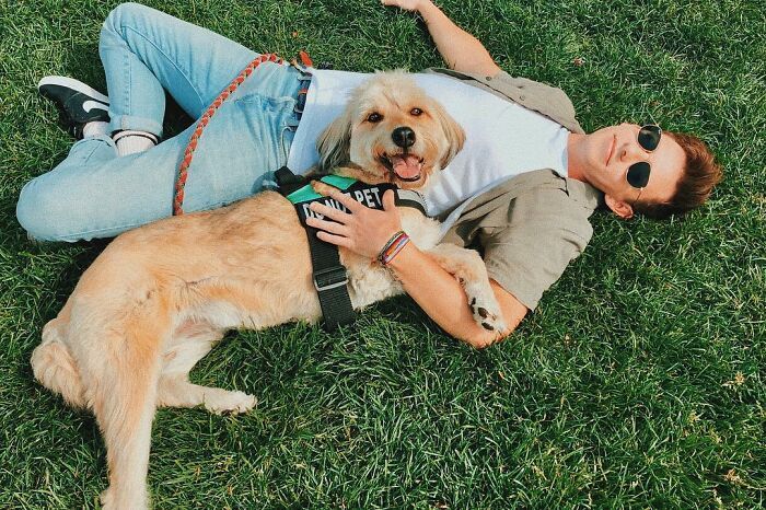 36 celebridades que são amantes de cachorros 34