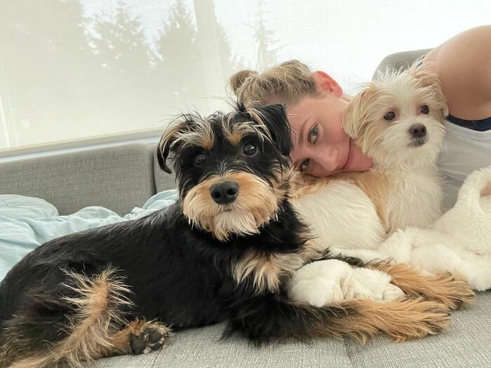 36 celebridades que são amantes de cachorros 35