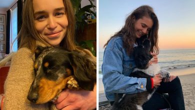 36 celebridades que são amantes de cachorros 30