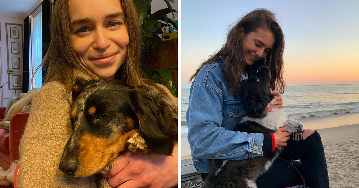 36 celebridades que são amantes de cachorros