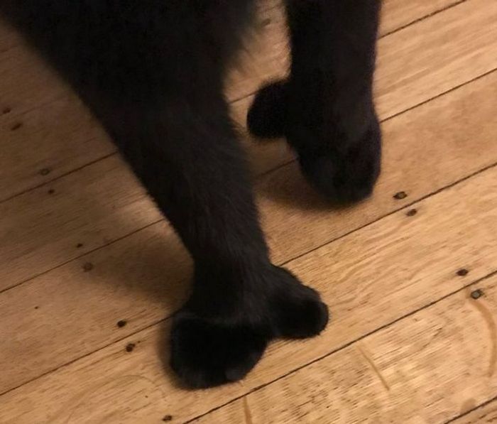 15 coisas que vão explodir sua mente com sua peculiaridade 1