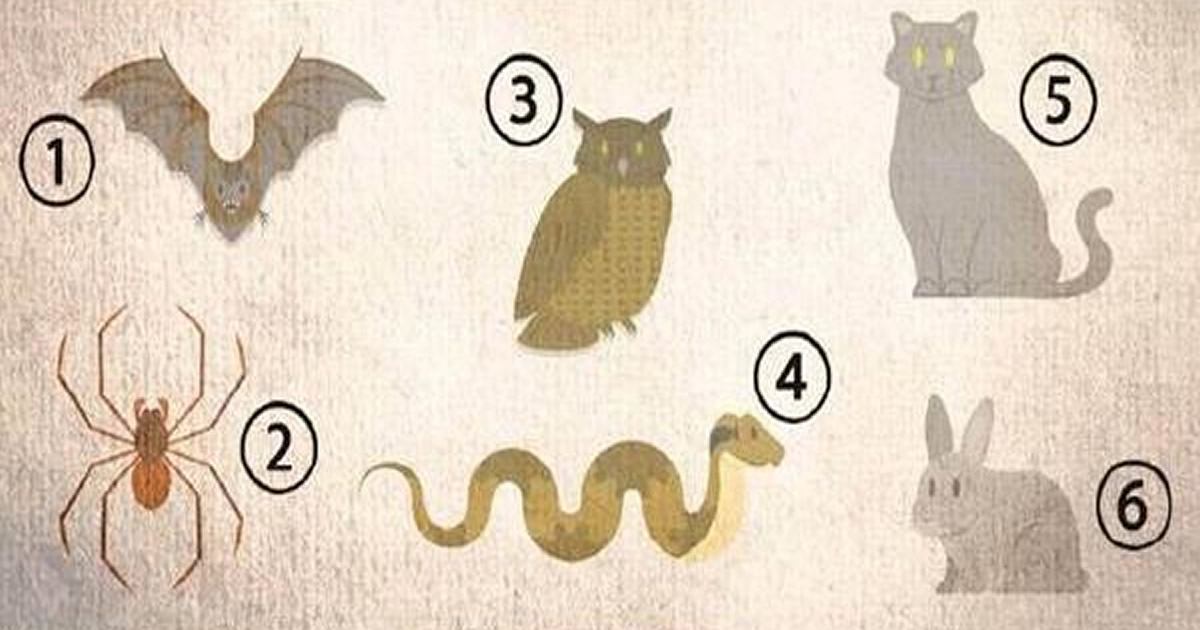 Escolha um animal para saber qual é a sua verdadeira essência 1