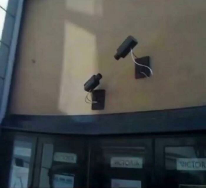 40 fotos engraçadas sem contexto que ficam mais estranhas quanto mais você olha para elas 14