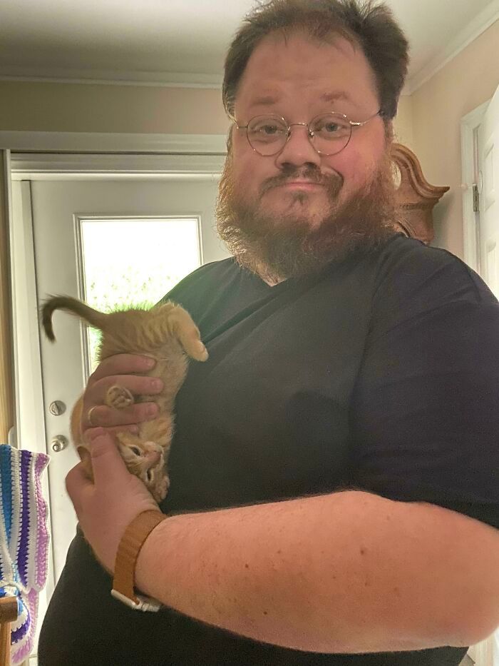 42 gatos maluquinhos com senso de humor 3