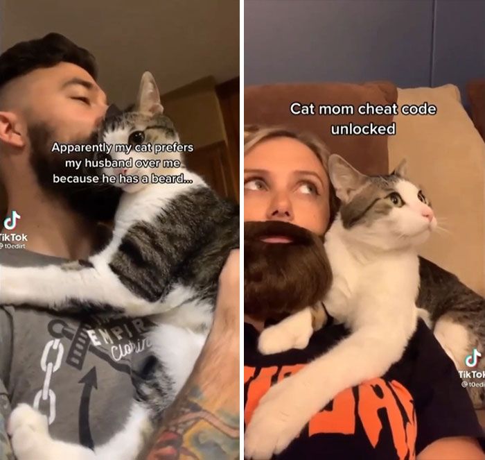 42 gatos maluquinhos com senso de humor 25