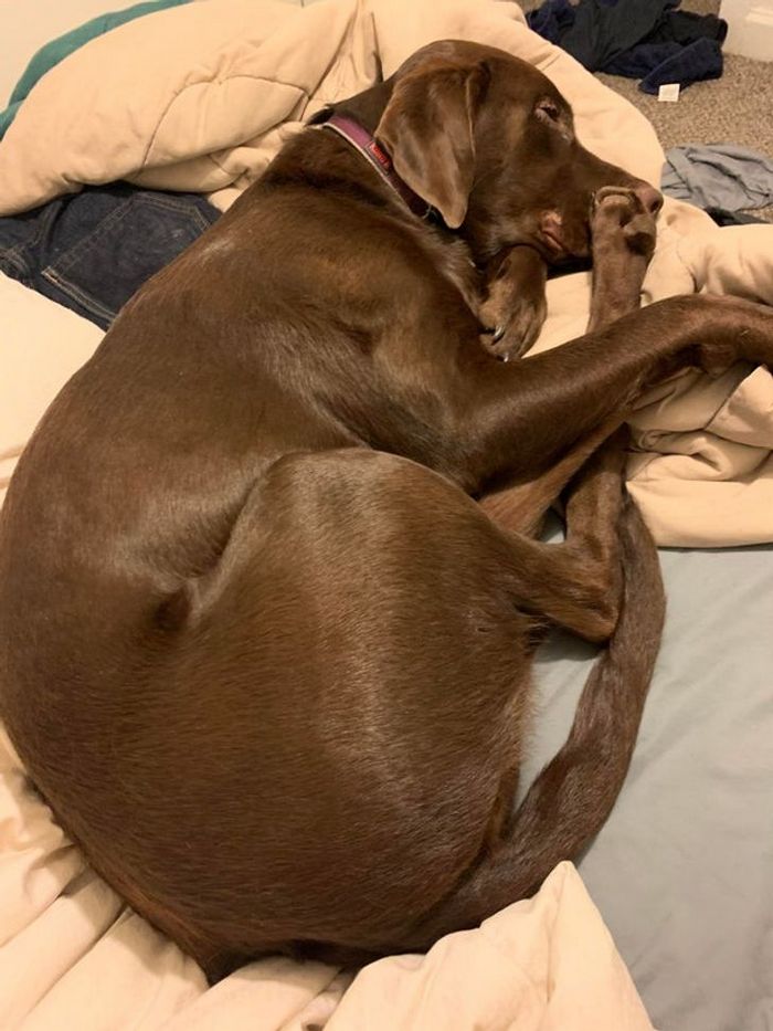 15 ilusões que vão fazer você querer olhar duas vezes 5