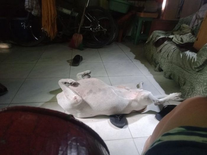 15 ilusões que vão fazer você querer olhar duas vezes 7