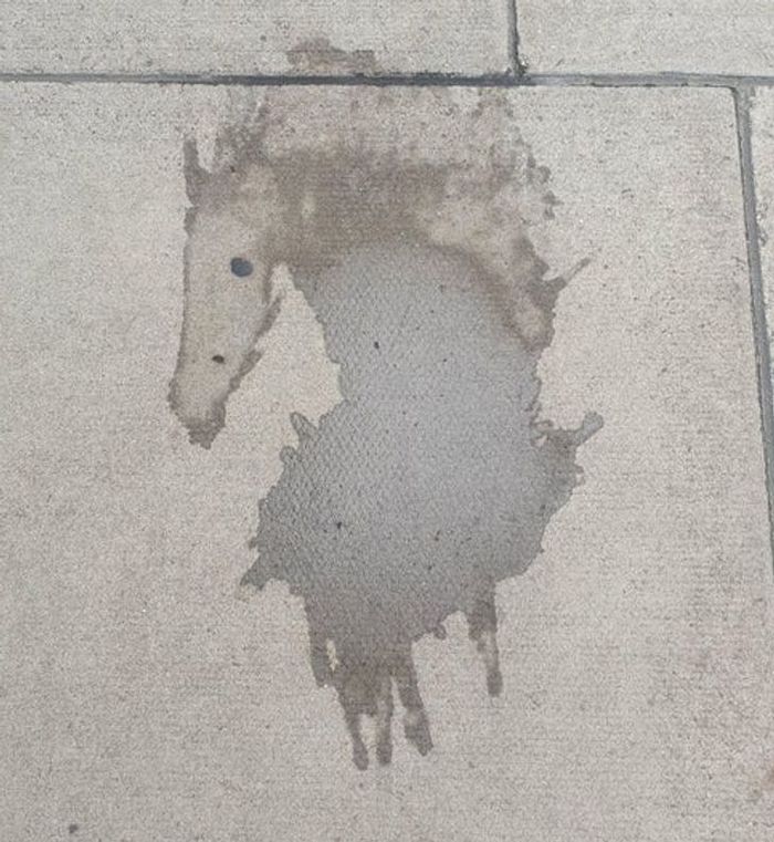 15 ilusões que vão fazer você querer olhar duas vezes 11