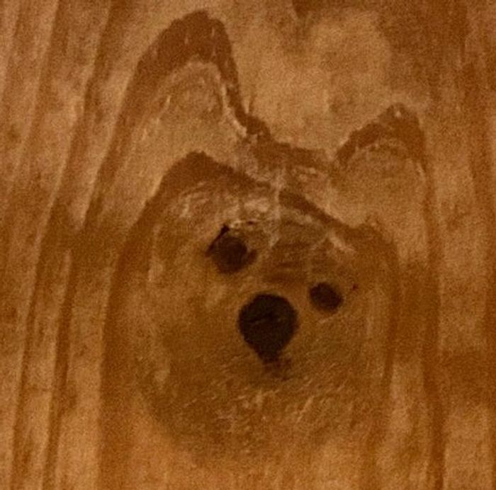 15 ilusões que vão fazer você querer olhar duas vezes 12