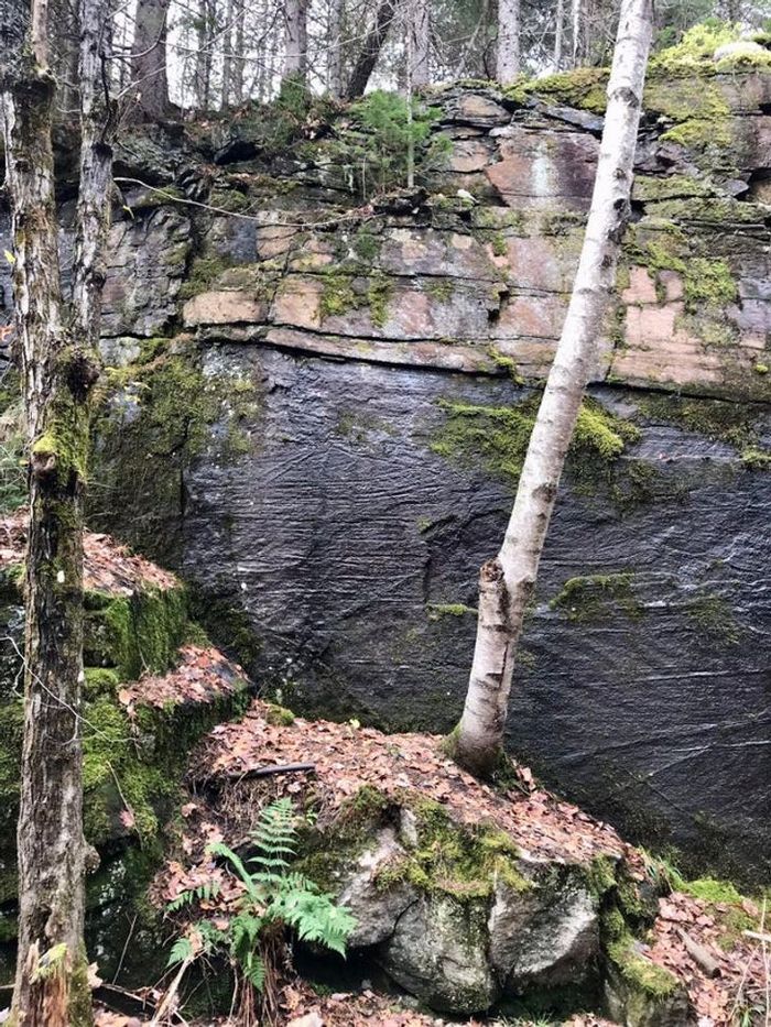 15 ilusões que vão fazer você querer olhar duas vezes 14
