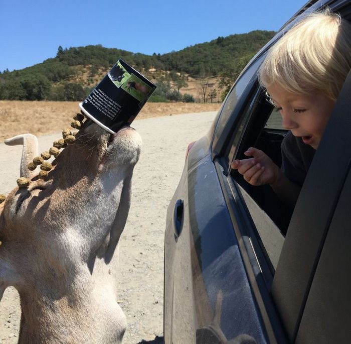 20 pessoas que tinham suas câmeras no lugar certo na hora certa 2