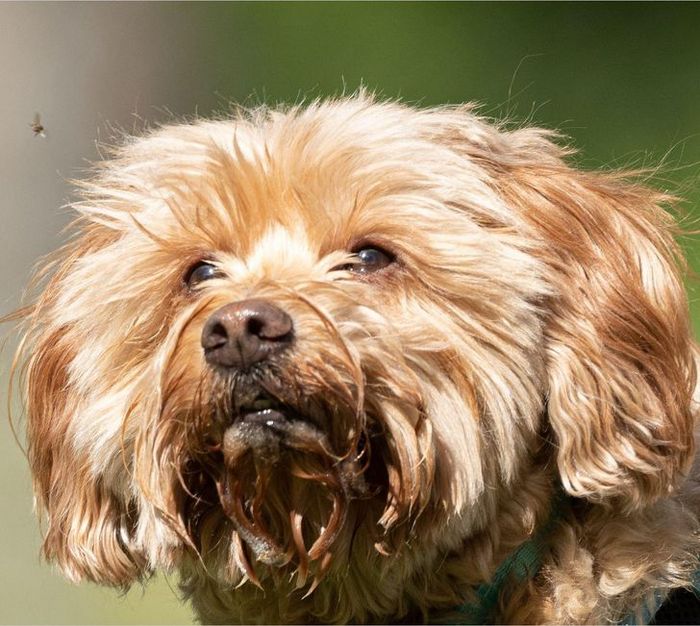 20 pessoas que tinham suas câmeras no lugar certo na hora certa 5