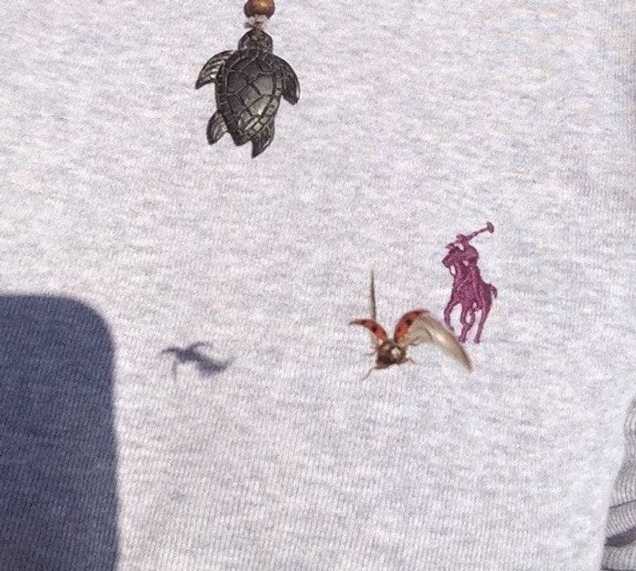 20 pessoas que tinham suas câmeras no lugar certo na hora certa 17