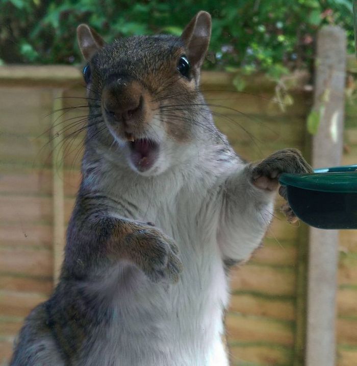 20 pessoas que tinham suas câmeras no lugar certo na hora certa 19
