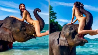 Pessoas tendo um dia pior que o seu 9