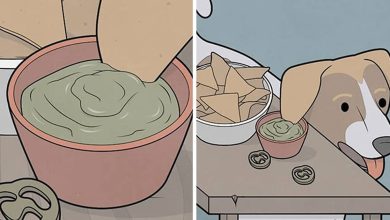 30 quadrinhos sarcásticos que você provavelmente precisará ver duas vezes para entender 35