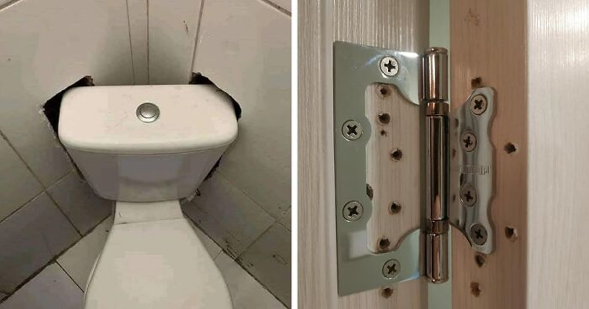 47 soluções de construção que não resolveram problemas, apenas criam novas dores de cabeça