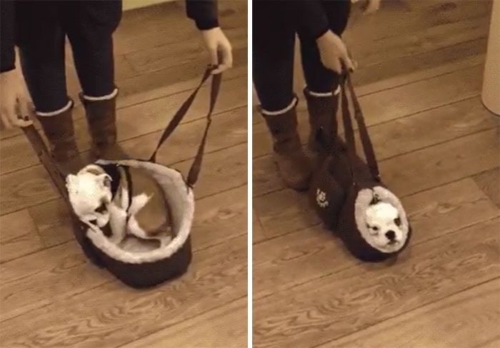 36 visual de produtos de uma forma diferente e legal 34