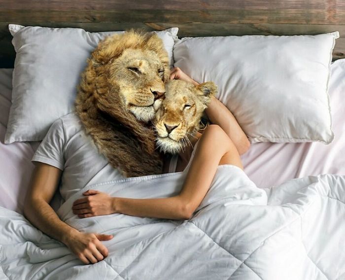 Aqui estão 32 montagem de fotos malucas de um artista turco 3