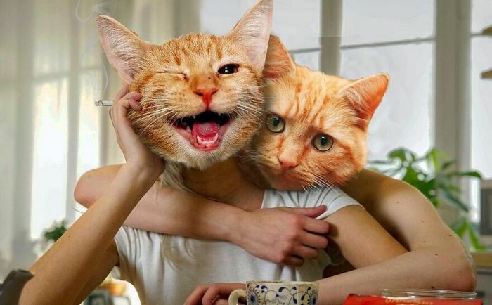 Aqui estão 32 montagem de fotos malucas de um artista turco 5