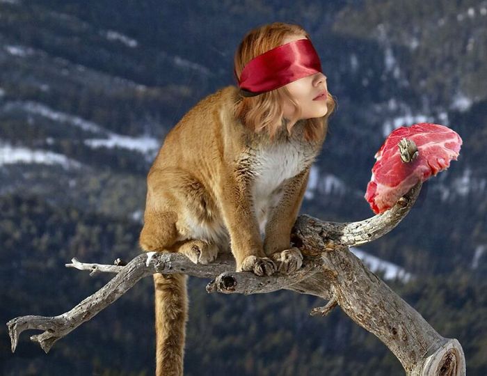 Aqui estão 32 montagem de fotos malucas de um artista turco 7