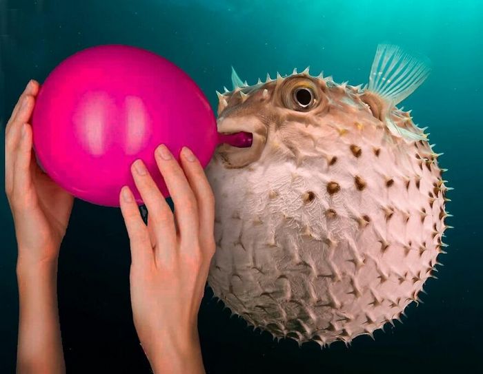 Aqui estão 32 montagem de fotos malucas de um artista turco 12