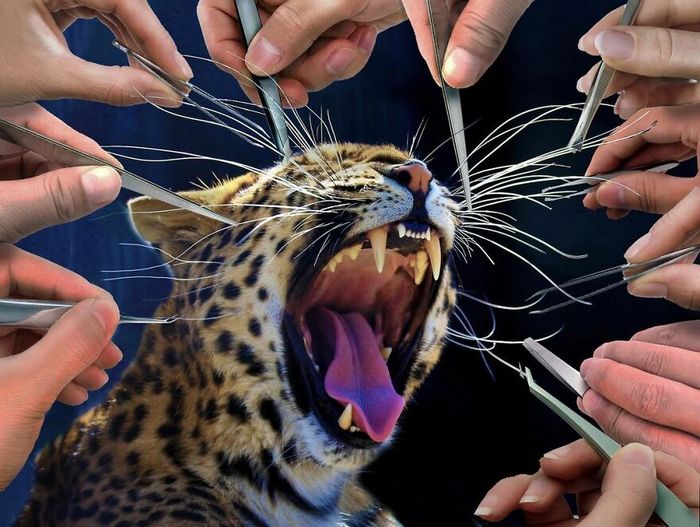 Aqui estão 32 montagem de fotos malucas de um artista turco 16