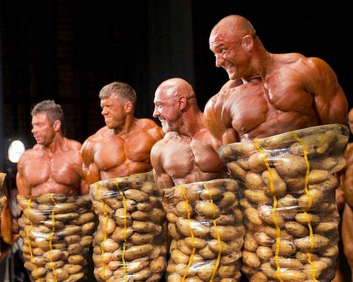 Aqui estão 32 montagem de fotos malucas de um artista turco 18