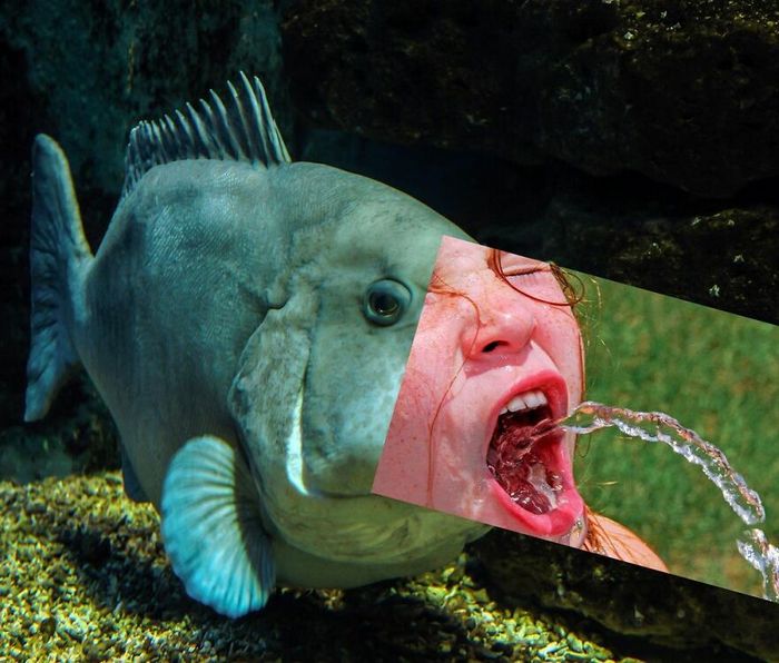 Aqui estão 32 montagem de fotos malucas de um artista turco 19