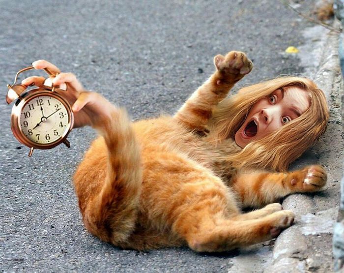 Aqui estão 32 montagem de fotos malucas de um artista turco 24