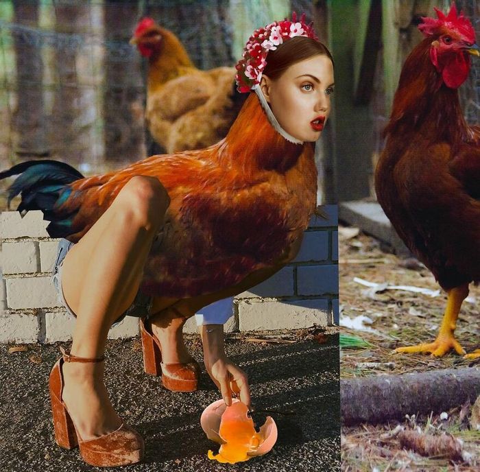 Aqui estão 32 montagem de fotos malucas de um artista turco 31