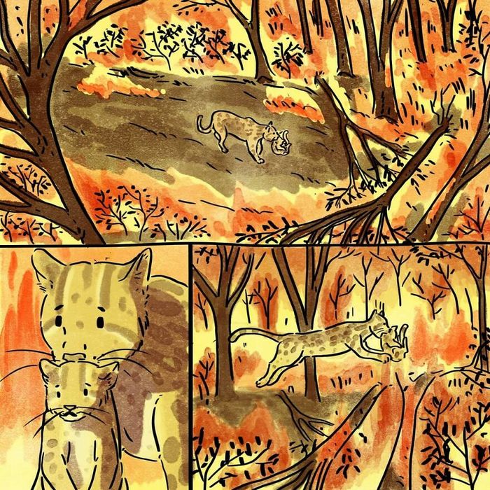 Artista brasileiro cria tirinhas emocionantes que já rodaram o mundo inteiro 28