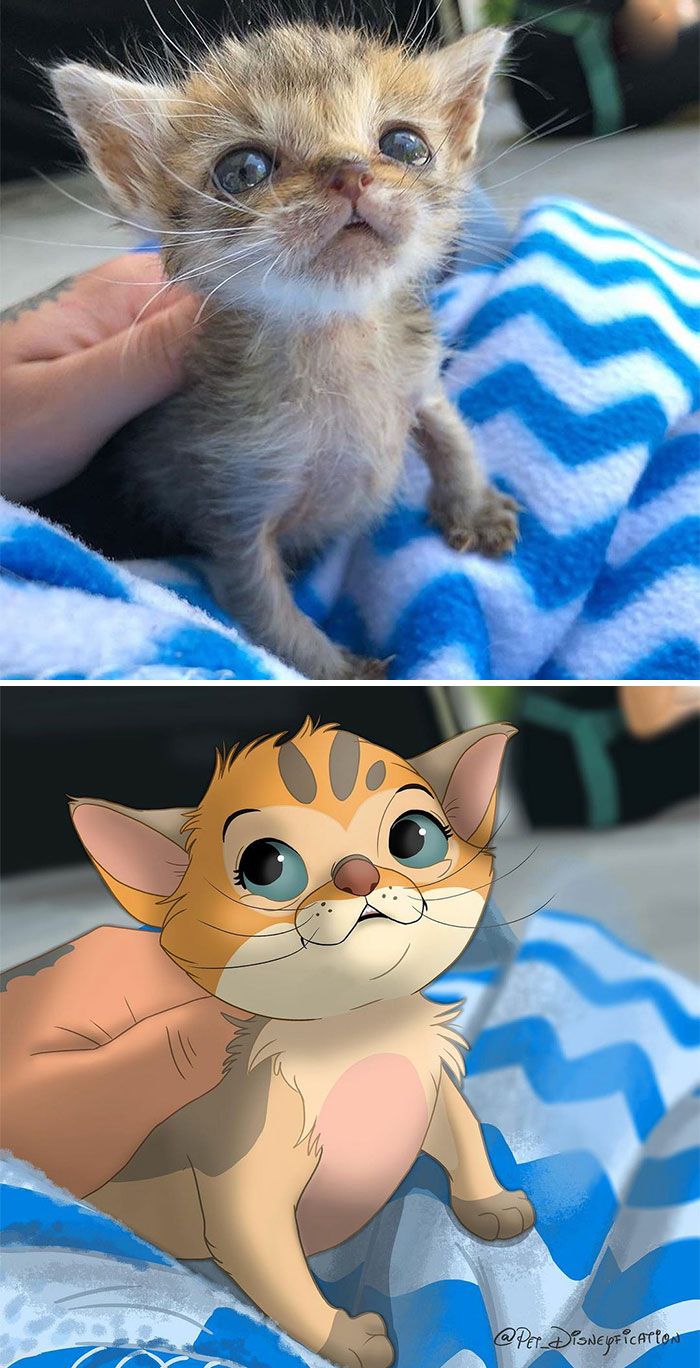 As pessoas enviam fotos de seus animais de estimação para este artista (45 fotos) 14