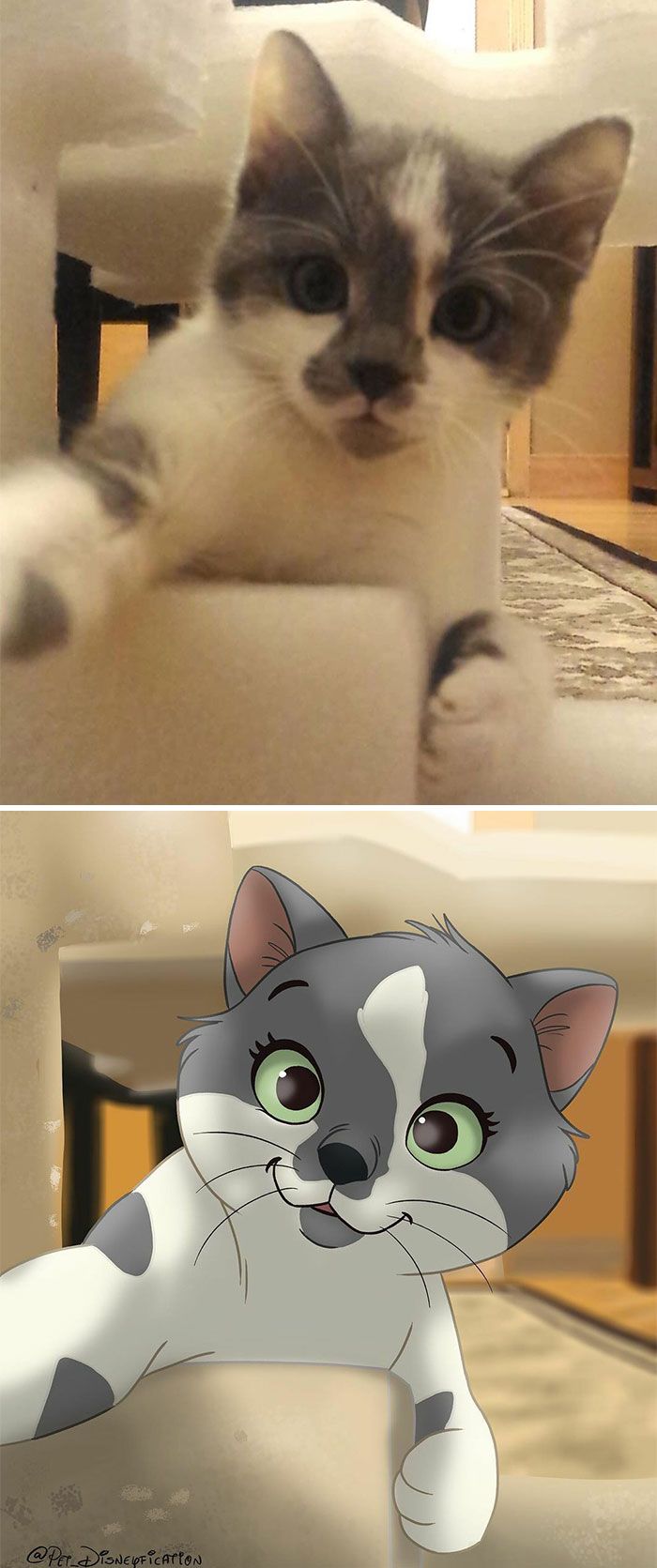 As pessoas enviam fotos de seus animais de estimação para este artista (45 fotos) 17