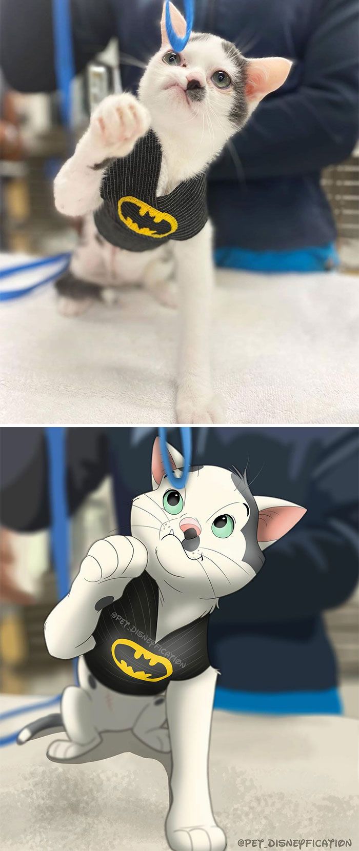 As pessoas enviam fotos de seus animais de estimação para este artista (45 fotos) 22