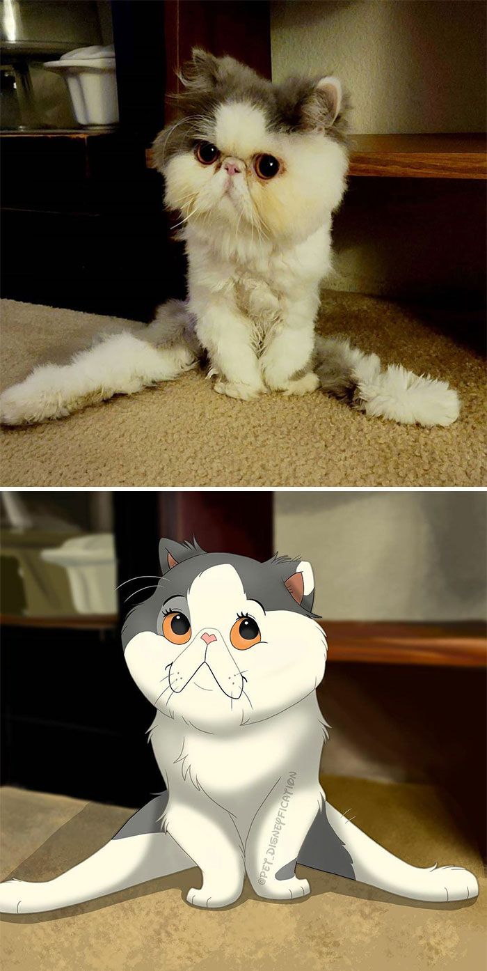 As pessoas enviam fotos de seus animais de estimação para este artista (45 fotos) 26