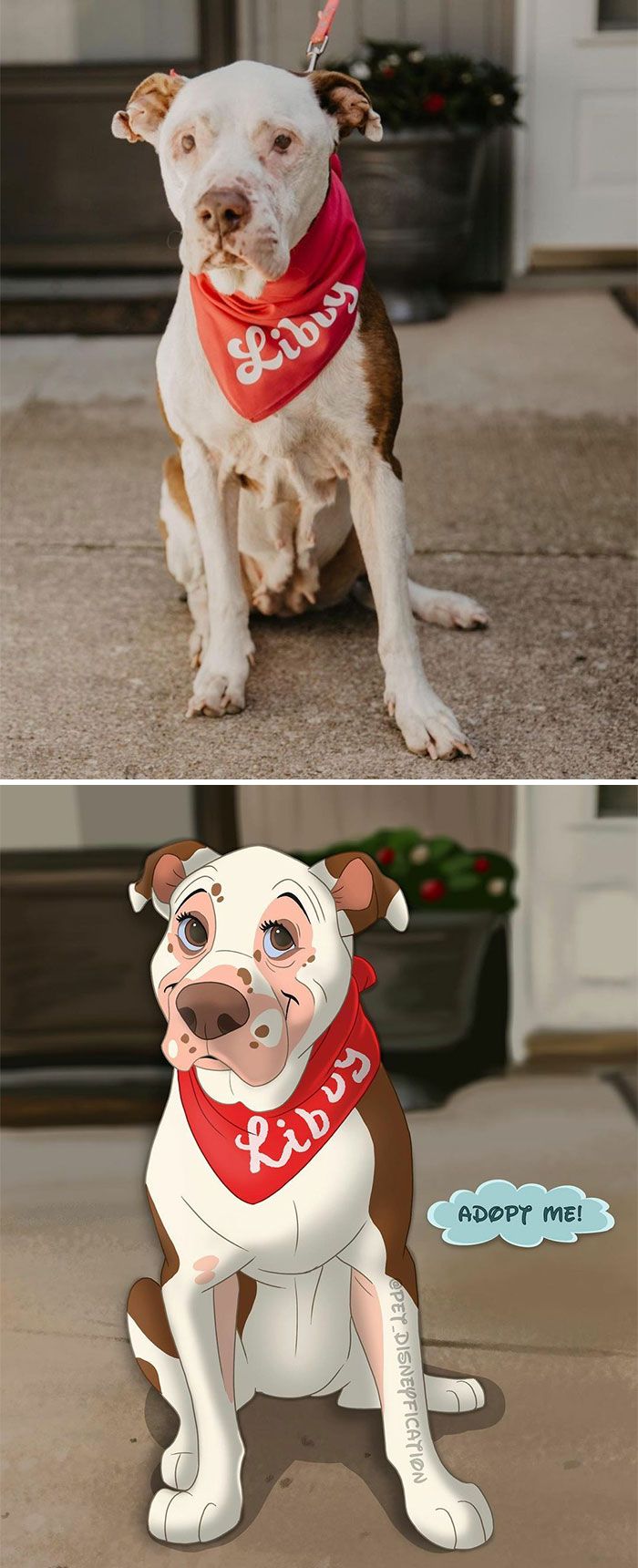 As pessoas enviam fotos de seus animais de estimação para este artista (45 fotos) 28