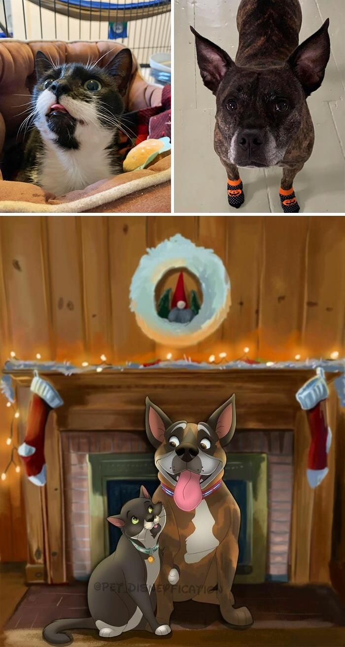 As pessoas enviam fotos de seus animais de estimação para este artista (45 fotos) 35