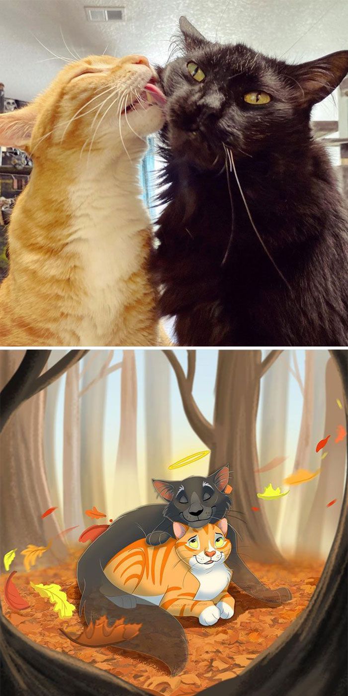 As pessoas enviam fotos de seus animais de estimação para este artista (45 fotos) 45