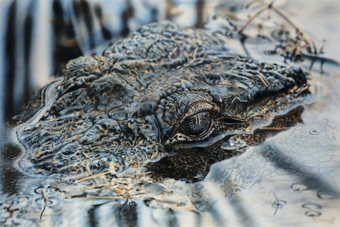 As pinturas deste artista parecem muito realista que acaba parecendo uma fotografia (32 fotos) 21