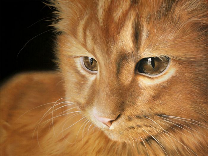 As pinturas deste artista parecem muito realista que acaba parecendo uma fotografia (32 fotos) 22