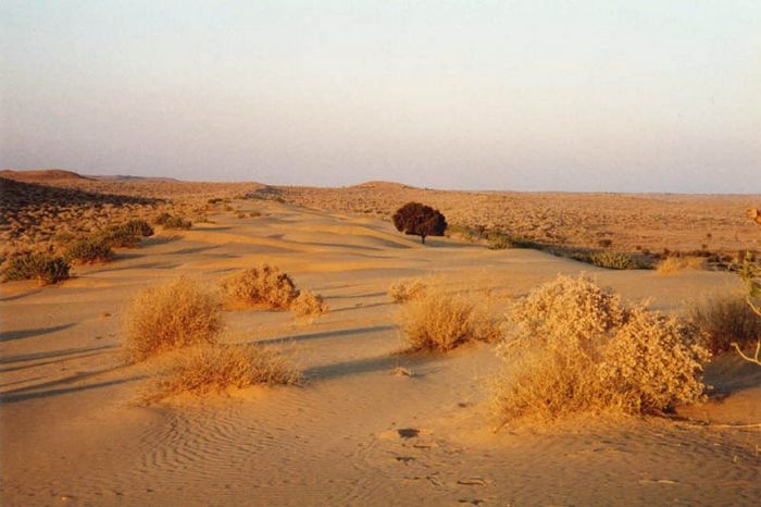 19 desertos para visitar ao redor do mundo 5
