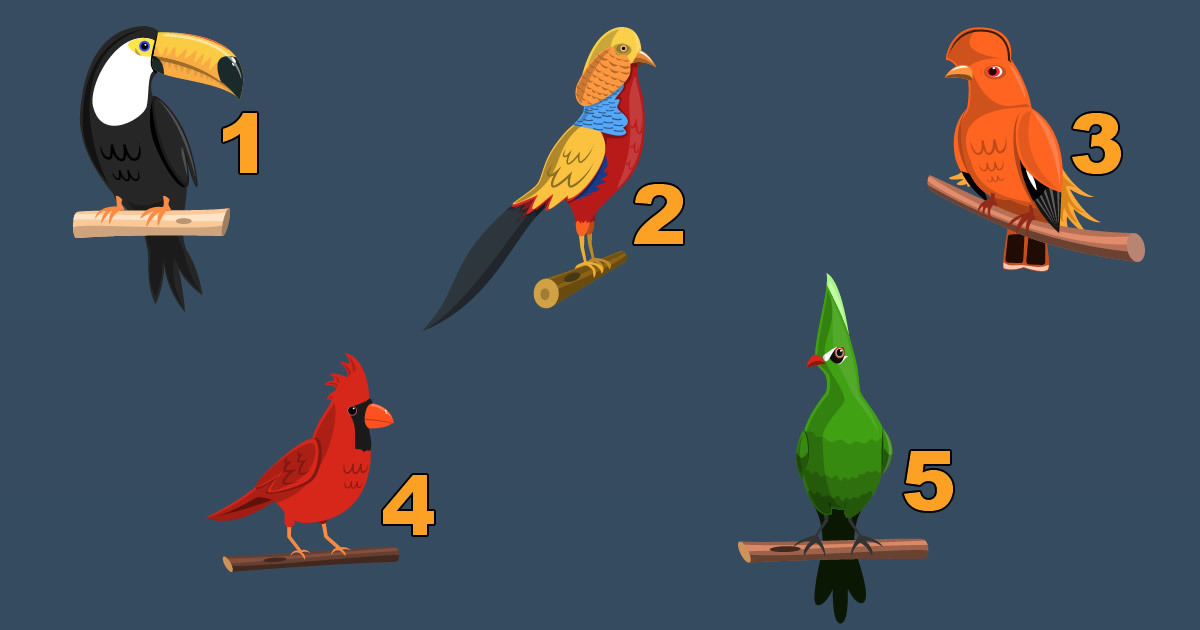 Escolha uma ave e descubra algo sobre sua personalidade 2
