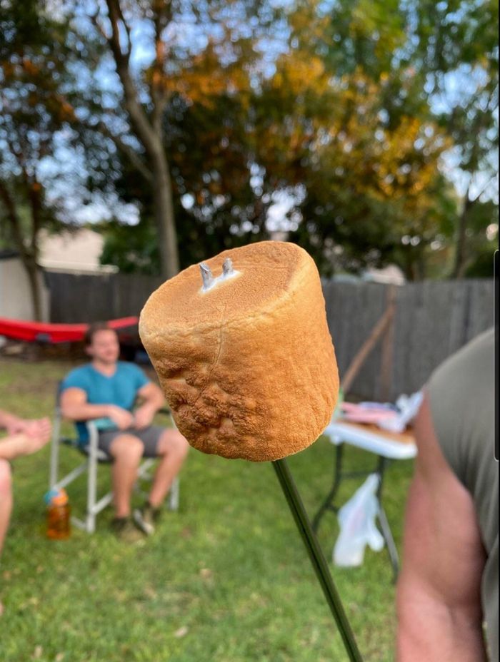 15 fotos agradáveis ​​que gritam a palavra perfeição 14