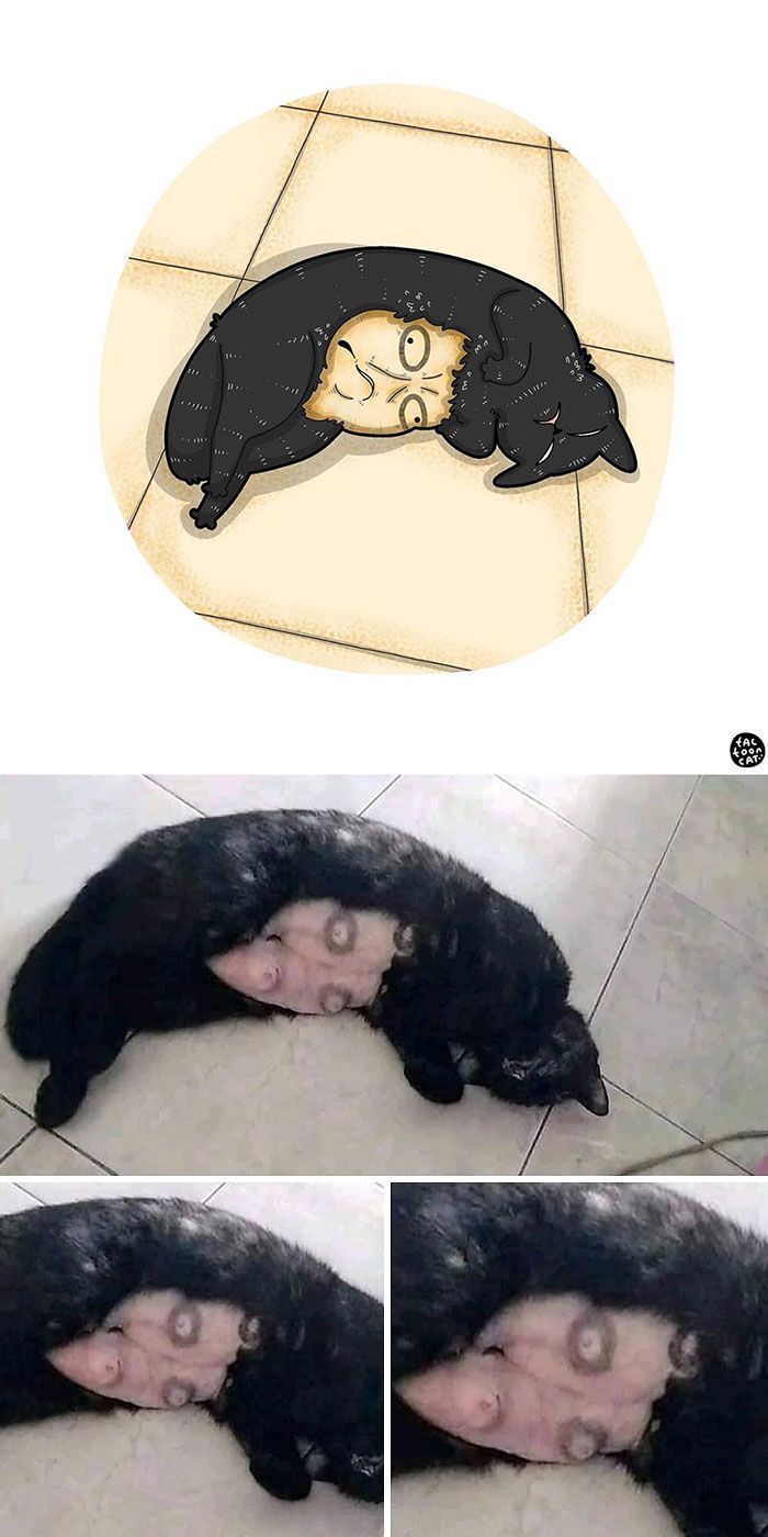 34 Fotos engraçadas de gatos virais ilustradas por este artista 5