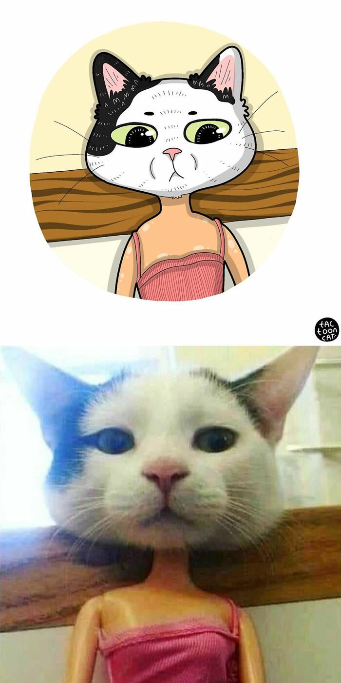 34 Fotos engraçadas de gatos virais ilustradas por este artista 12